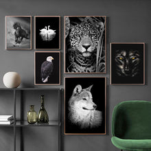 Load image into Gallery viewer, Black &amp; White Wildlife
